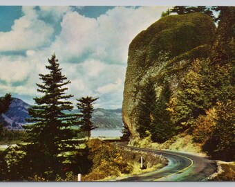 Vintage Postcard, Shepperd's Dell, Columbia River Highway Oregon, c1960s unposted