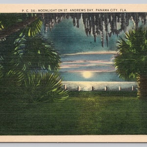 Vintage Postcard, Moonlight on St. Andrew&#39;s Bay, View Through Palm Trees, Panama City Florida, c1940s unposted