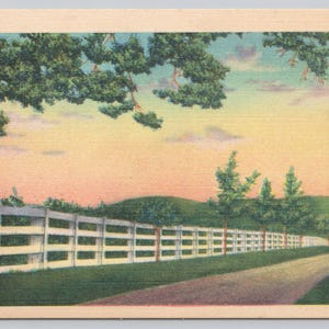Vintage Postcard, White Fence Along Country Road Scenery, Unidentified Location Vintage Linen Postcard, c1940s unposted