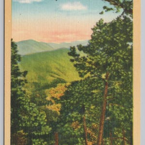 May include: Vintage postcard featuring a scenic view of Thunderhead Mountain in the Great Smoky Mountains National Park. The image showcases lush green trees, rolling hills, and a colorful sky with text at the top and bottom.