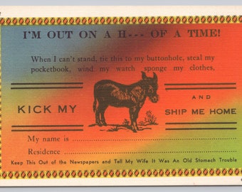 Vintage Comic Postcard, "I'm Out on a H--- of a Time. Kick My Ass and Ship Me Home", Comic Donkey Postcard, c1940s unposted