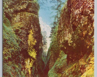 Vintage Postcard, Oneonta Gorge, Columbia River Highway Oregon, c1960s unposted