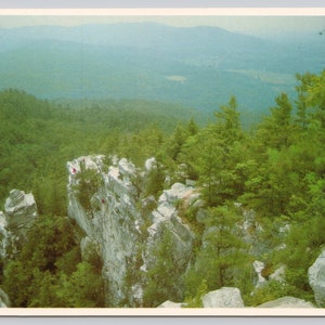 May include: A scenic view from a rocky clifftop overlooking a vast, green forest. The cliff is covered in gray rock formations and trees. The forest stretches out in the distance, with a hazy blue sky above.