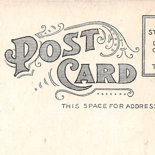 Vintage Postcard, President John F Kennedy With Family, Jackie