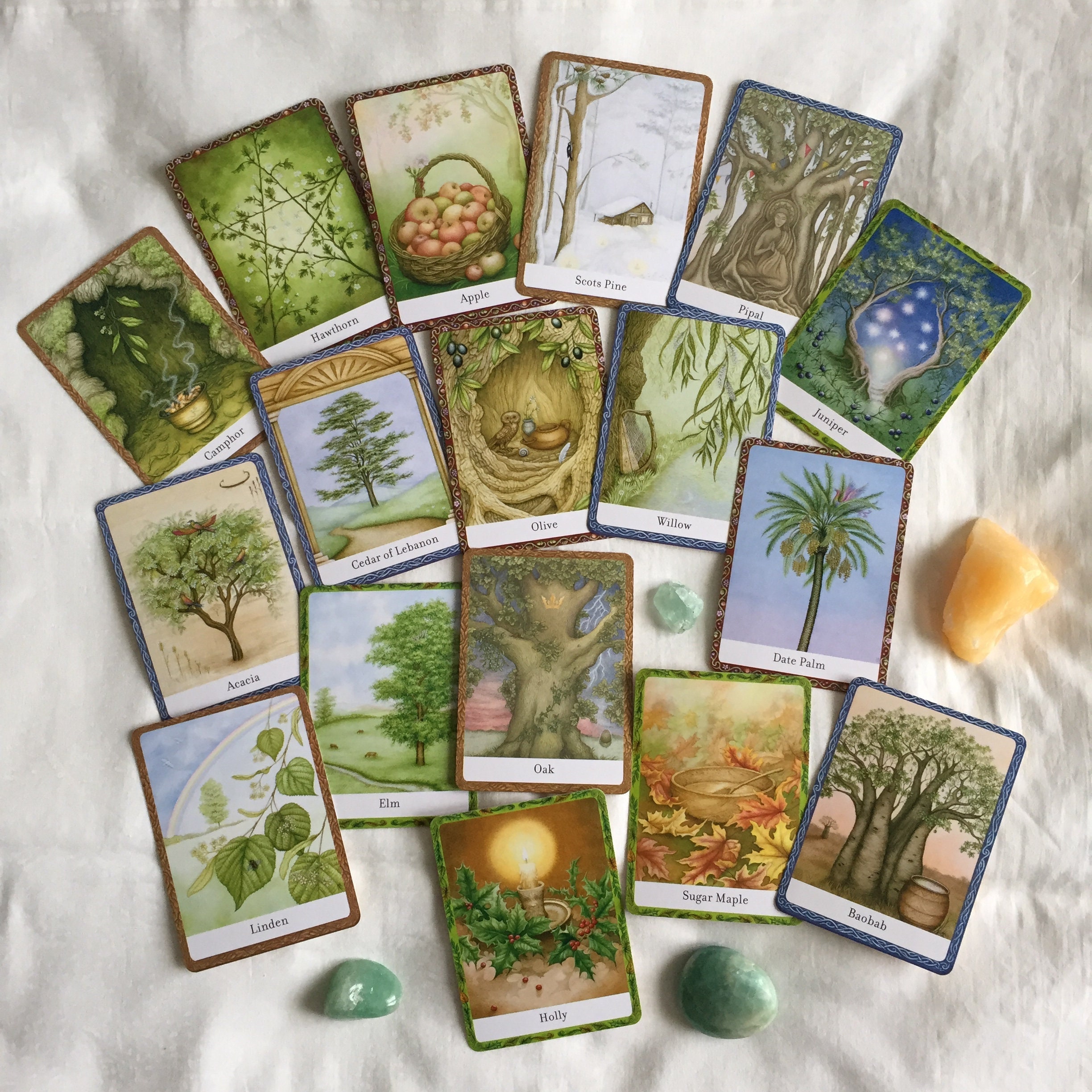 Arborescence Oracle Lecture 3 Cartes