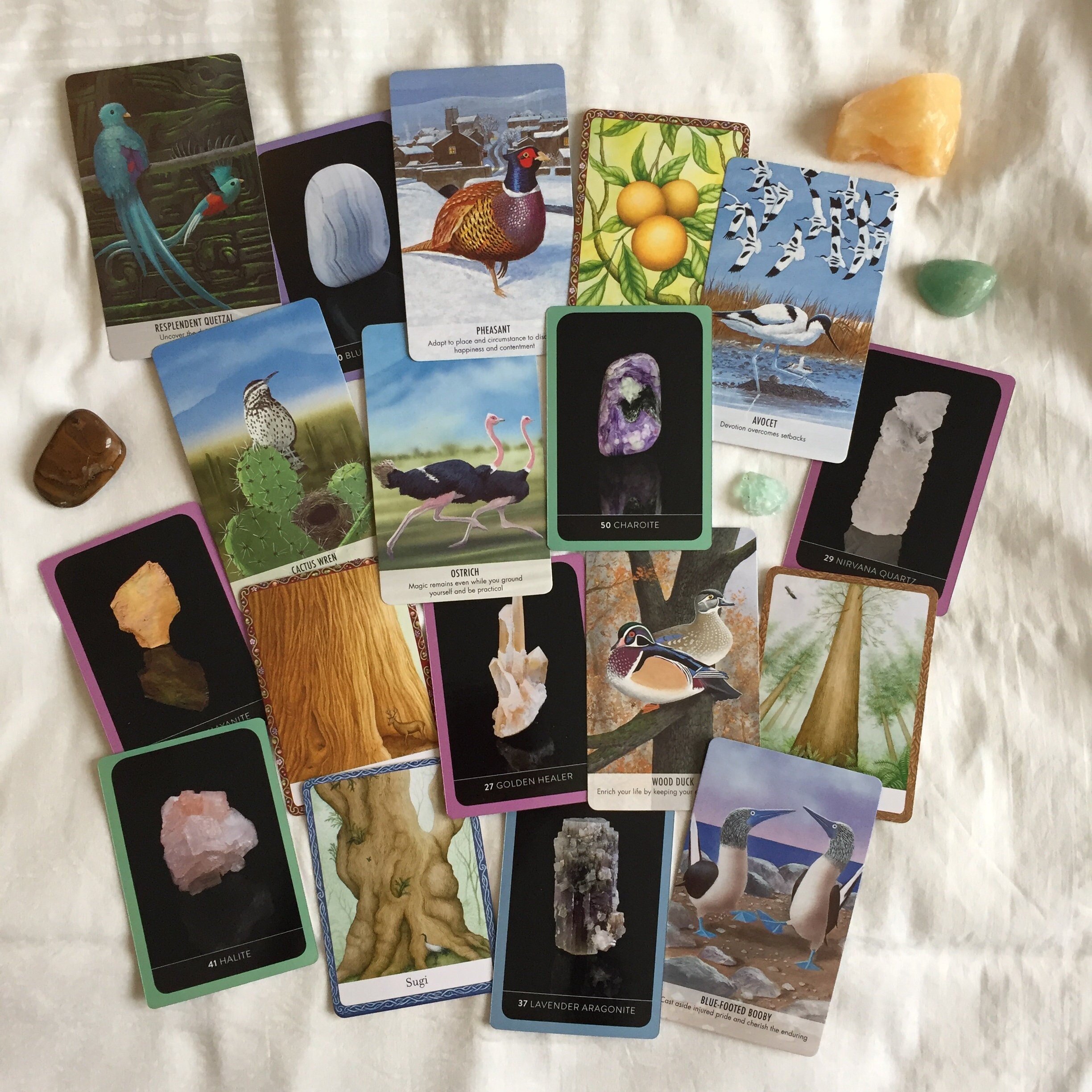 Tree Bird Crystal Oracle Lecture 3 Cartes