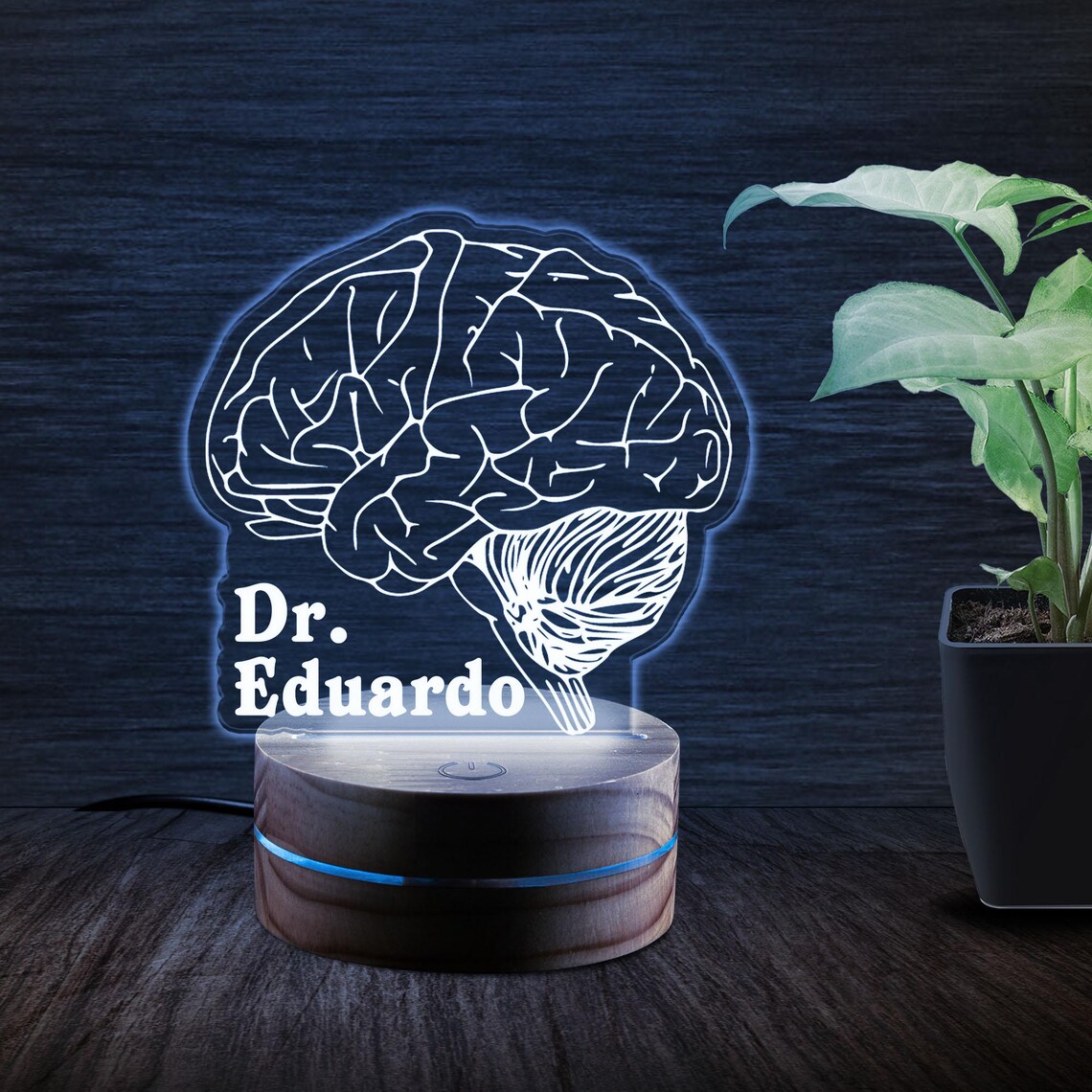 Personalized Brain LED Night Light With Remote - Perfect Gift for ...