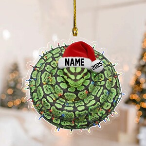 May include: A Christmas ornament featuring a green and black snake wearing a red Santa hat with the text "NAME" and "2025". The snake is encircled by a string of colorful Christmas lights, creating a festive holiday decoration.