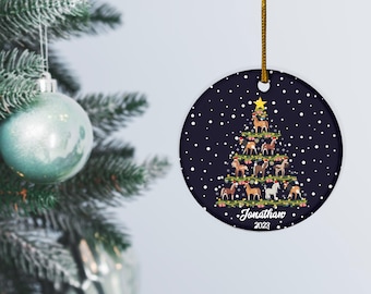 Personalized Horse Christmas Ornament, Custom Name Keepsake, Horse Lovers Christmas 2025 Gift Chistmas Ornament CTK4106