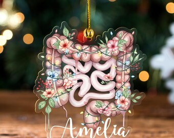 Intestine Anatomy Christmas Ornament Set, Anatomical Heart, Mental Health, Medical Student, Nurse Halloween JCRQ14