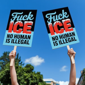 May include: Two signs are held up against a blue sky. Each sign has the words "Fuck ICE" in light blue script over red letters that spell "ICE" with a snowy effect. Below, the signs read "NO HUMAN IS ILLEGAL" in black text.