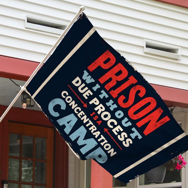 Bandera de protesta "No Kings" (Resistencia al debido proceso), resistencia anti-DT, póster de activista político, bandera de manifestación, protesta contra el fascismo NGSE30