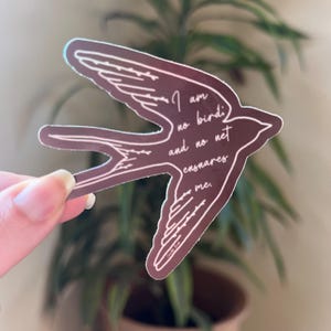 May include: A brown bird silhouette sticker with the text "I am no bird, and no net ensnares me."