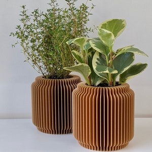 Puede incluir: Dos macetas de madera marrón con plantas. Las macetas tienen un diseño acanalado. Una contiene una planta de hojas verdes, la otra una planta con hojas verdes y blancas. Las macetas están sobre una superficie blanca.