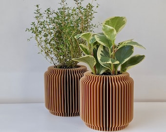 May include: Two wooden planters with plants. The planters are brown and have a ribbed design. One planter holds a green leafy plant, and the other holds a plant with green and white leaves. The planters are on a white surface.
