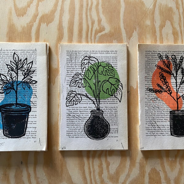 Little Plants Pages