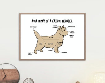Anatomy of a Cairn Terrier Poster | A5 & A4 Dog Print | Customisable Dog Art | Cairn Dog Illustration | Funny Anatomical Dog Drawing