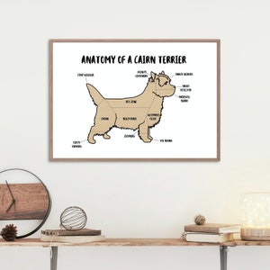 Anatomy of a Cairn Terrier Poster | A5 & A4 Dog Print | Customisable Dog Art | Cairn Dog Illustration | Funny Anatomical Dog Drawing