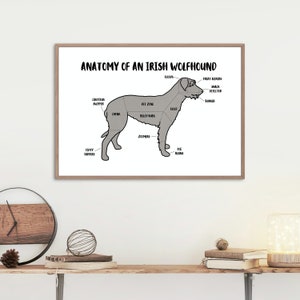 Anatomy of an Irish Wolfhound Poster | A5 & A4 Dog Print | Customisable Dog Art | Wolfhound Dog Illustration | Funny Anatomical Dog Drawing