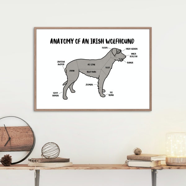 Anatomie d'une affiche Irish Wolfhound | Impression de chien A5 et A4 | Art de chien personnalisable | Illustration de chien lévrier | Dessin de chien anatomique drôle