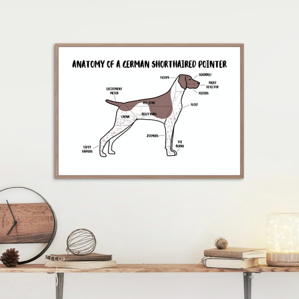 Anatomie d’une affiche de pointeur allemand à poil court | Impression de chien A5 et A4 | Art de chien personnalisable | Illustration du pointeur | Dessin de chien anatomique