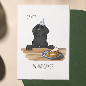 Puede incluir: Un perro negro con un gorro de fiesta azul y blanco está sentado en una mesa con una rebanada de pastel en un plato. El texto "CAKE?" está encima del perro y "WHAT CAKE?" está debajo del plato.