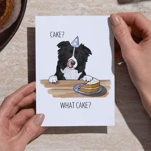 Puede incluir: Tarjeta de felicitación con un Border Collie en blanco y negro con un gorro de fiesta, con el texto "CAKE?" encima del perro y "WHAT CAKE?" debajo. El perro está mirando una porción de pastel en un plato.