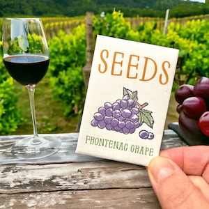 Frontenc Grape Vine - Graines de fruits - Rustique au froid - Zone 2+