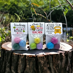 Seed Bombs - Teacher Appreciation Gift to say Thank you - Canadian Wildflower