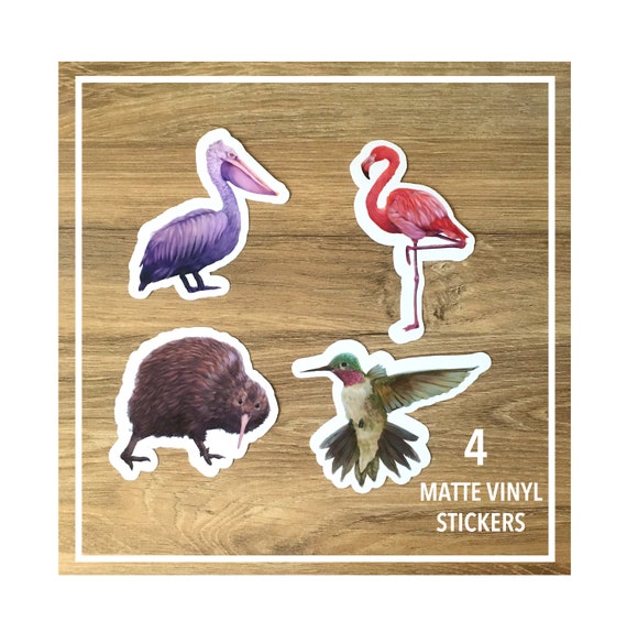 Realistic Bird Stickers / Matte Vinyl Die Cut Sticker Pack / Etsy