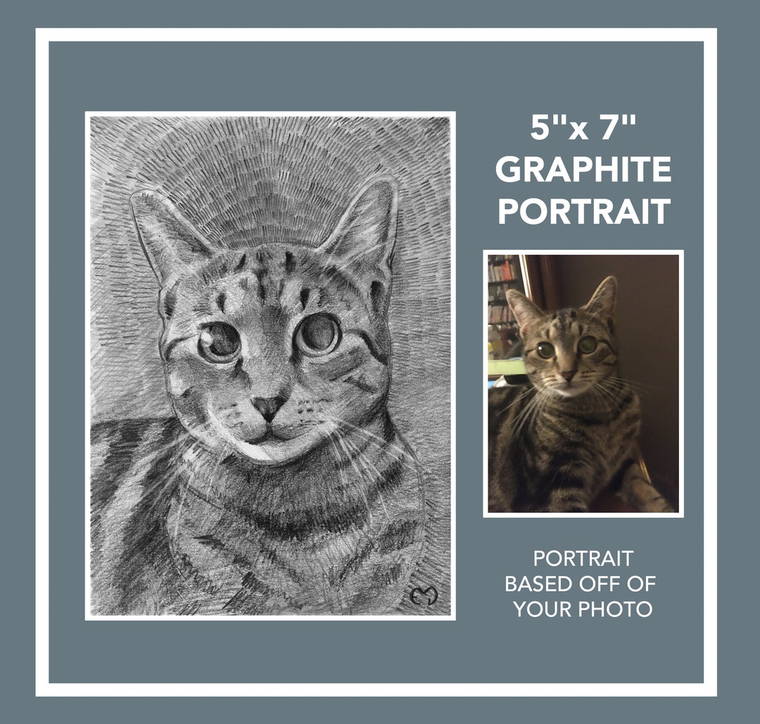 Custom Graphite Pet Portrait / Handdrawn Portrait / 5x7 Etsy