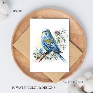 Set di 10 biglietti per appunti Budgie acquerello formato A6 / biglietti di ringraziamento / set regalo per scrittura