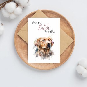 Da una cagna all'altra, biglietto d'auguri con un amico divertente / biglietto umoristico / biglietto con una barzelletta divertente