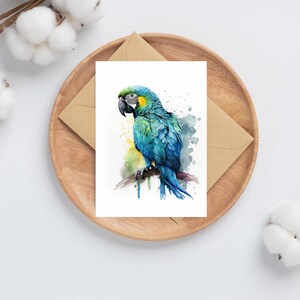 10 biglietti di auguri con pappagallo acquerellato A6 / biglietti di ringraziamento / set regalo / penna gratuita