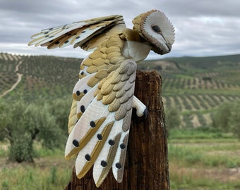 Barn Owl Fidget Model - Multi Colour Print