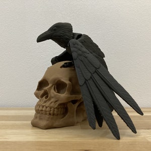 Flexi Raven Model with Skull Base image 1