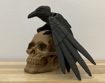 Flexi Raven Model with Skull Base