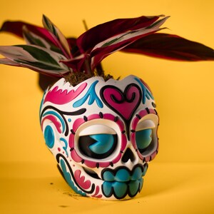 May include: A Day of the Dead skull-shaped planter, painted white with pink, blue, and black decorative elements. The planter holds a plant with red, green, and white leaves, set against a yellow background.
