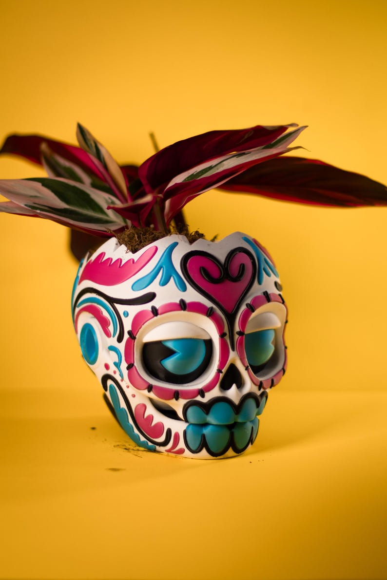 May include: A Day of the Dead skull-shaped planter, painted white with pink, blue, and black decorative elements. The planter holds a plant with red, green, and white leaves, set against a yellow background.