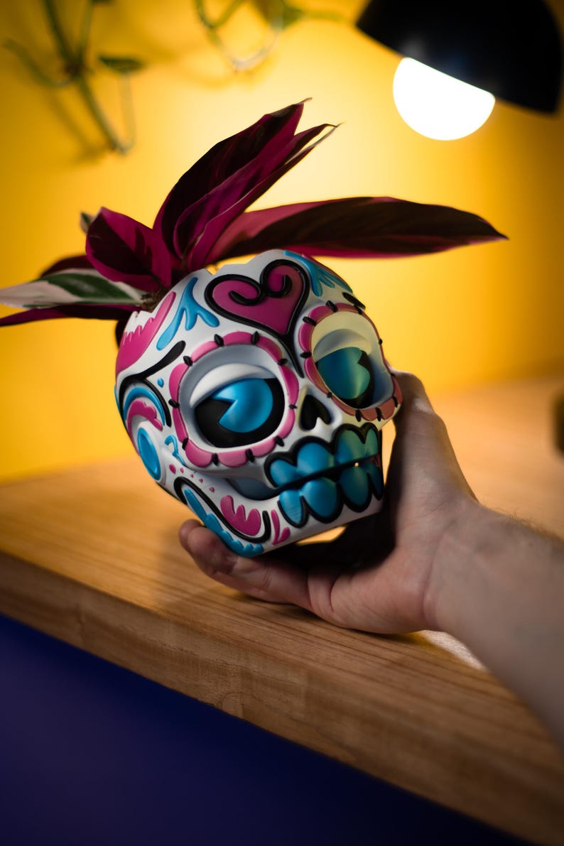 May include: A Day of the Dead skull-shaped planter, white with pink and blue accents, holds a plant with dark red leaves. The skull has large blue eyes and a detailed floral design. The planter is held in a hand.