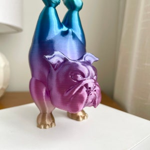 Bulldogge Yoga Pose Home Decor Bild 8
