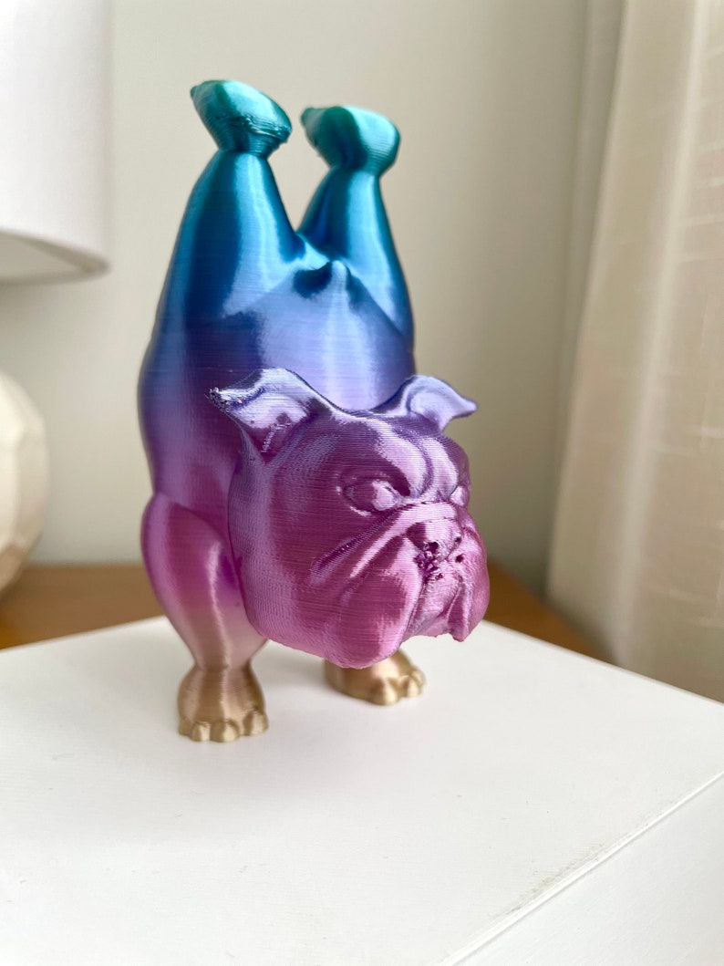 Bulldogge Yoga Pose Home Decor Bild 8