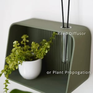 May include: A sage green wall-mounted shelf with a rounded design. It features a small white pot with a green plant and a clear glass tube for a reed diffuser or plant propagation. The text "Reed Diffusor or Plant Propogation" is visible.