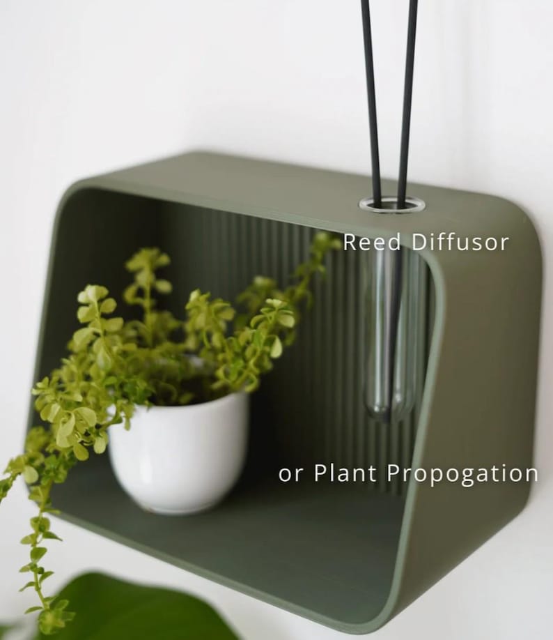 May include: A sage green wall-mounted shelf with a rounded design. It features a small white pot with a green plant and a clear glass tube for a reed diffuser or plant propagation. The text "Reed Diffusor or Plant Propogation" is visible.