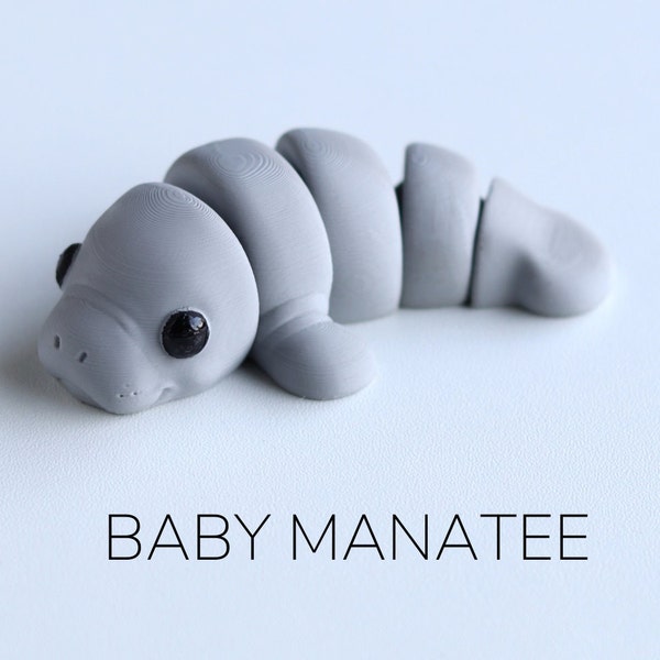Baby Manatee Fidget Model / Keyring