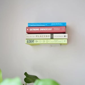 May include: A stack of five books with colorful spines against a white wall. The titles include "Your Next Five Moves", "Extreme Ownership", "You Are the Placebo", and "Alchemy". The books are in shades of blue, red, white, and green.
