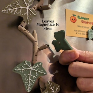 Magnetivy – Engelse klimop koelkastmagneet met scharnierende stelen, realistische plantmagneet, botanisch keukendecor afbeelding 2