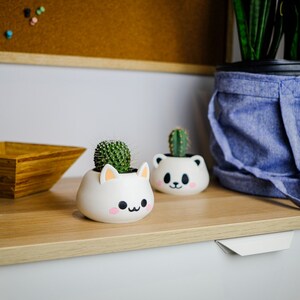 May include: Two white ceramic planters shaped like a cat and a panda bear, with small green cactus plants inside. The planters are sitting on a light brown wooden surface.