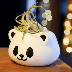 May include: White ceramic planter shaped like a panda face with black eyes and pink cheeks, holding a green air plant.