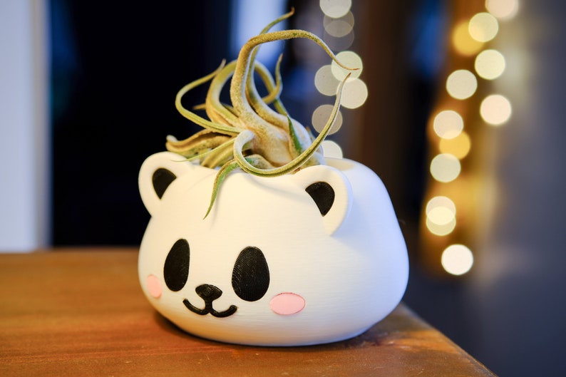 May include: White ceramic planter shaped like a panda face with black eyes and pink cheeks, holding a green air plant.
